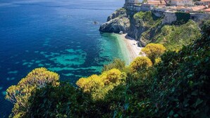 A coastal town with a prominent castle overlooking the sea, a sandy beach, and lush greenery.