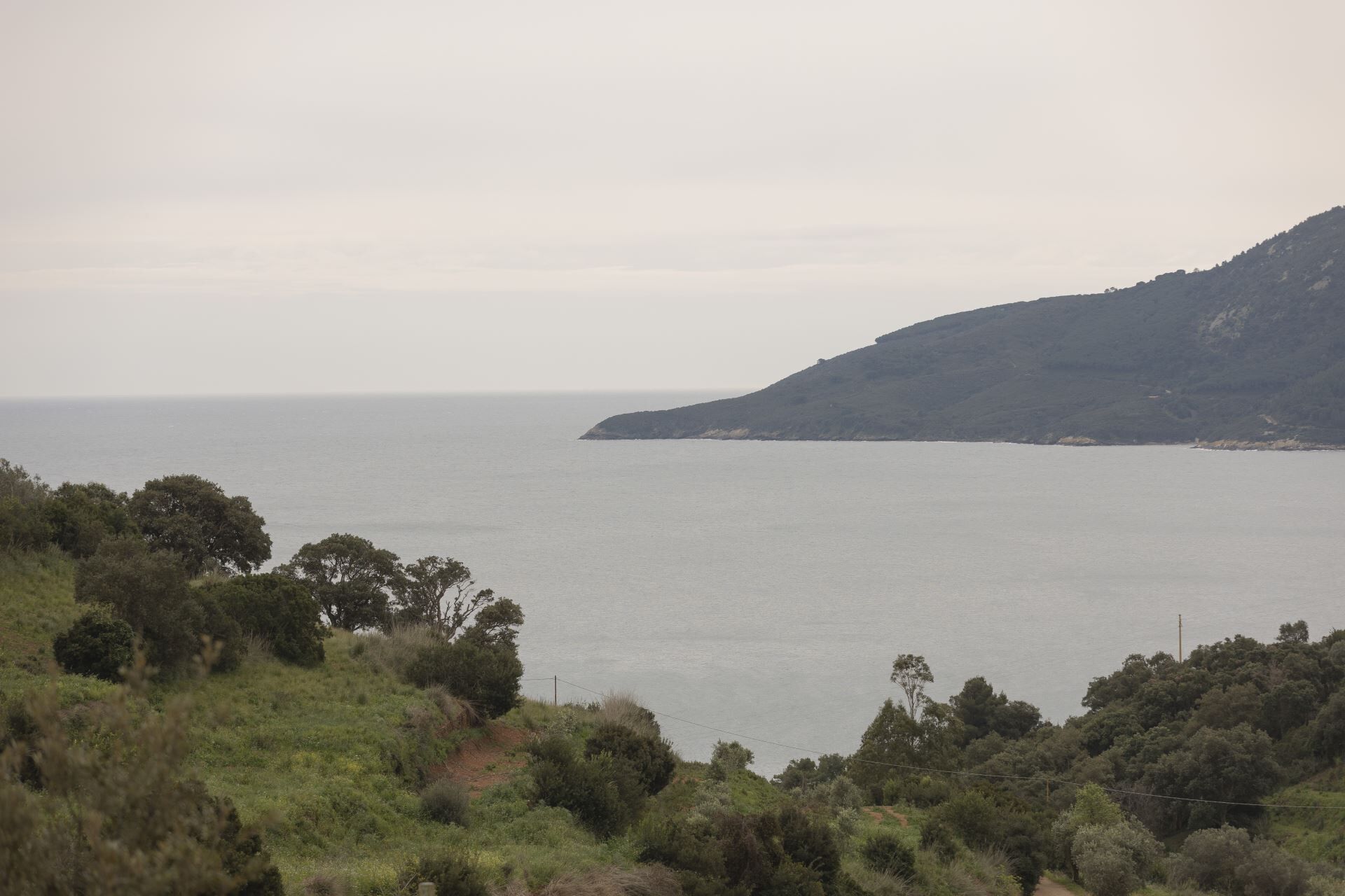 Un paisaje costero con vista al mar y una colina al fondo.