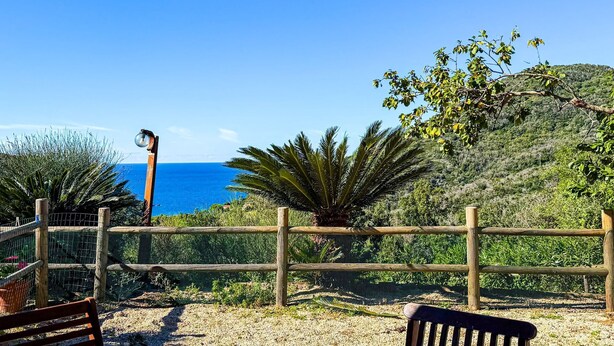 Une vue sur la côte, avec une clôture en bois, un banc et un ciel bleu dégagé.