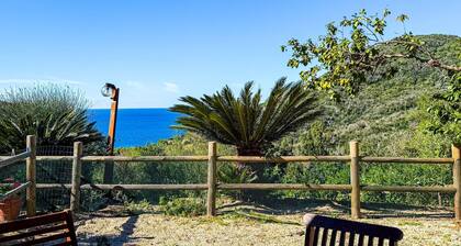 Welcome to Casa Alessia, a lovely flat located in Nisporto, the perfect tourist resort for those see