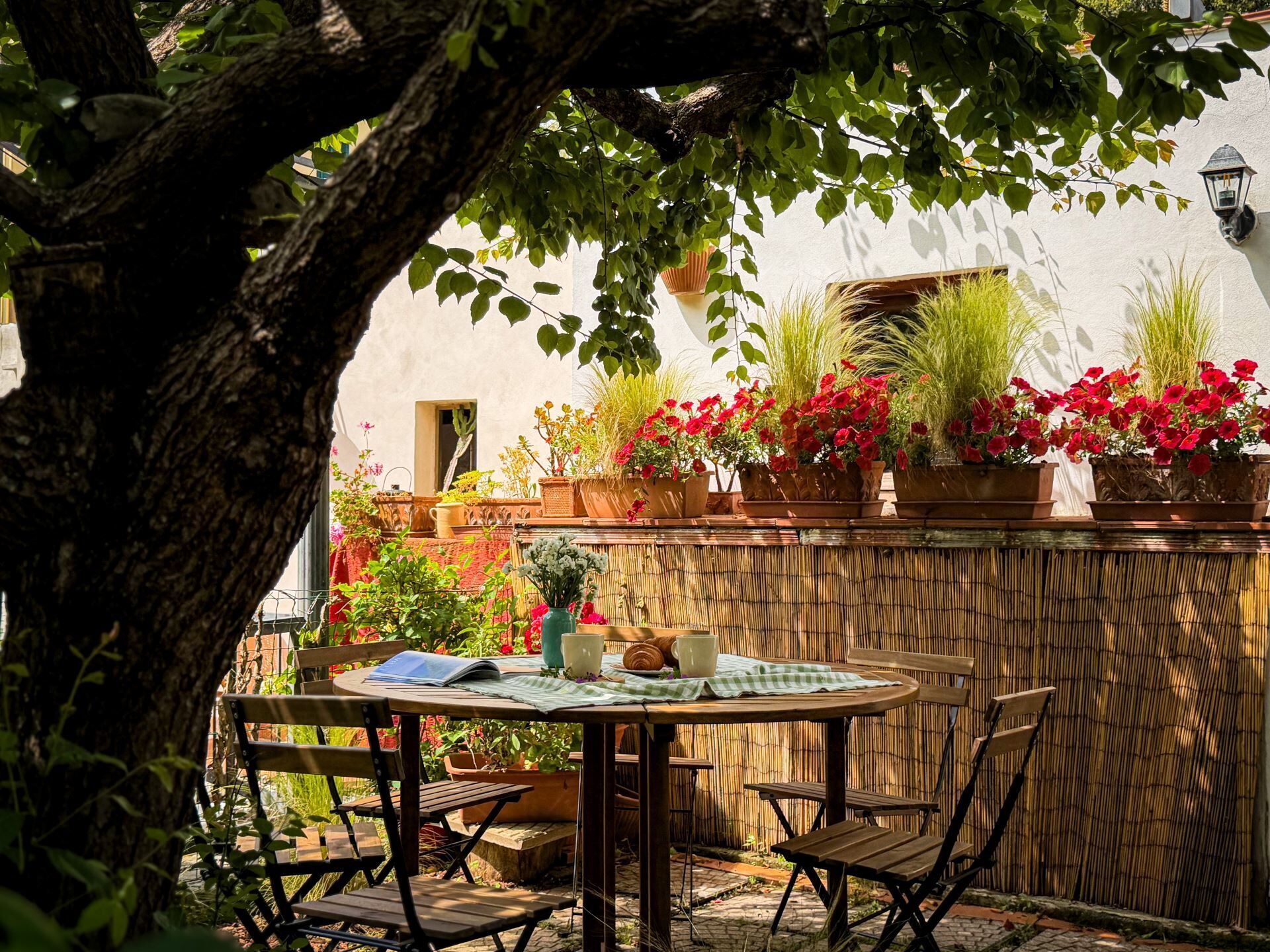 Eine Terrasse mit Tisch und Stühlen, umgeben von Blumentöpfen und einem Bambuszaun.