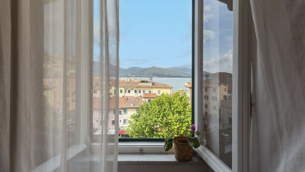 Ein Fenster mit durchsichtigen Vorhängen, einem Topfpflanzen und Blick auf Gebäude sowie ein Gewässer.