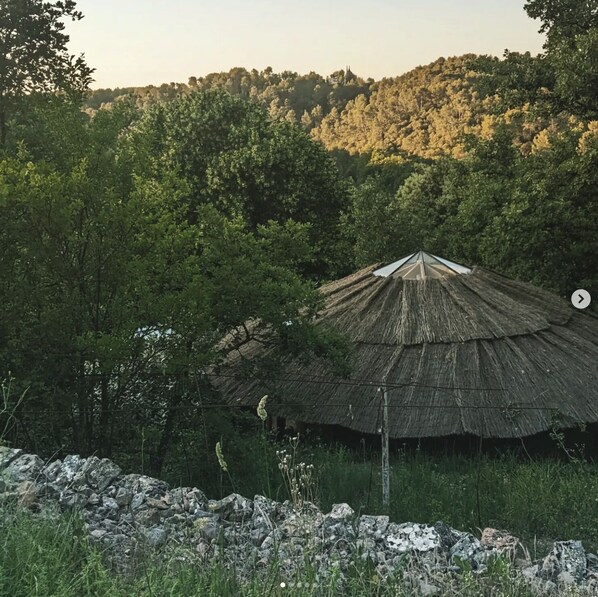 A rustic thatched-roof hut surrounded by dense greenery and rocky terrain.