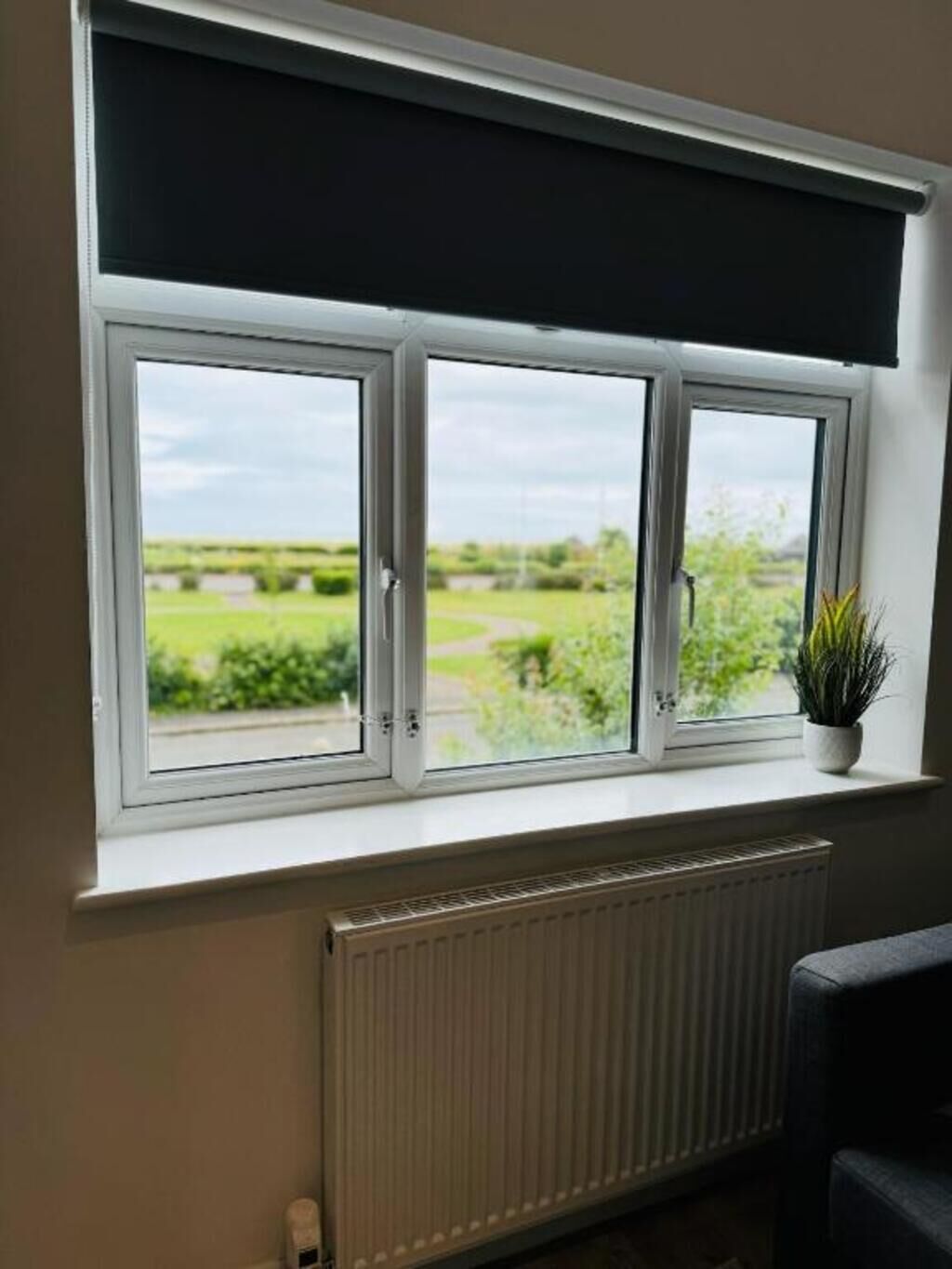 Een raam met uitzicht op een groen landschap, een radiator eronder en een plant op de vensterbank.