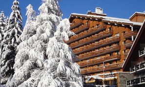 Exterior - Holiday Home in Mottaret on Ski Slopes (Les Allues)