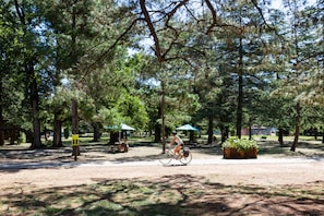 Vista desde la propiedad