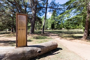 Vista desde la propiedad