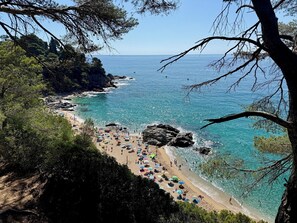 Chaises longues, serviettes de plage