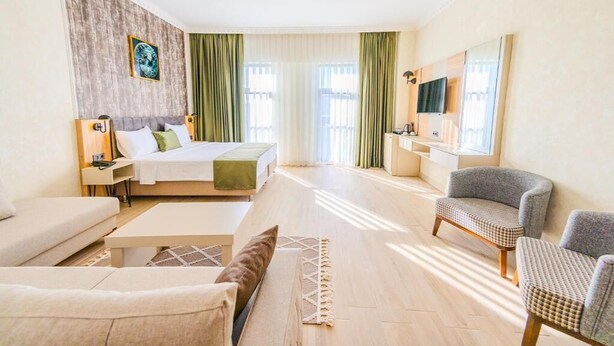A hotel room with a bed, a sofa, a chair, a TV, and a desk. - Ayçiçeği Comfort Hotel (Edirne)