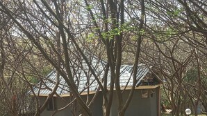 Edifici amb teulada de rajola, envoltat d'arbres i un camí de grava.