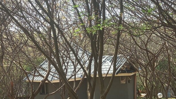 Un edificio con tetto in tegole, circondato da alberi e un vialetto sterrato.