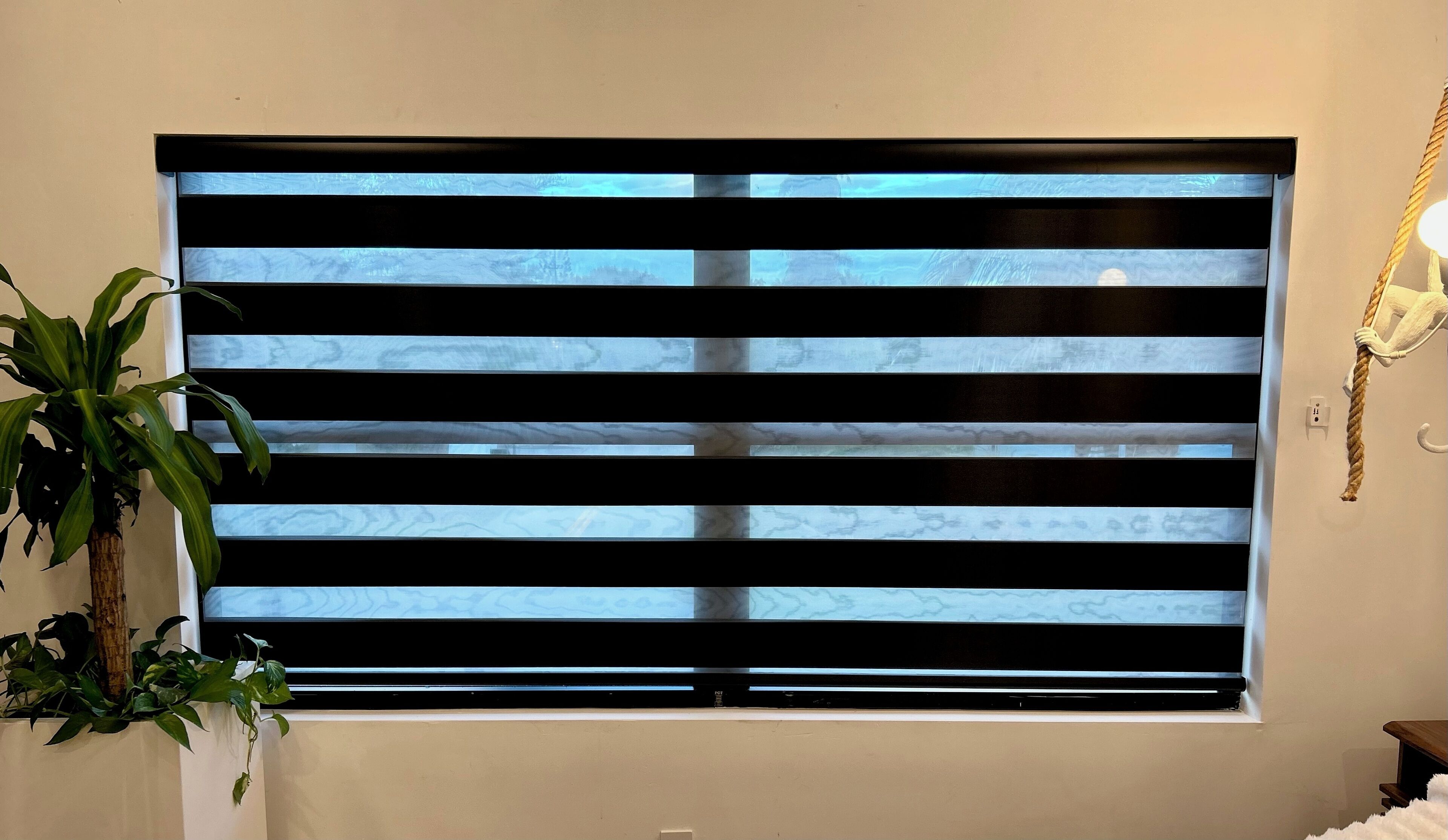 A window with horizontal blinds, a potted plant, and a wall-mounted light fixture.