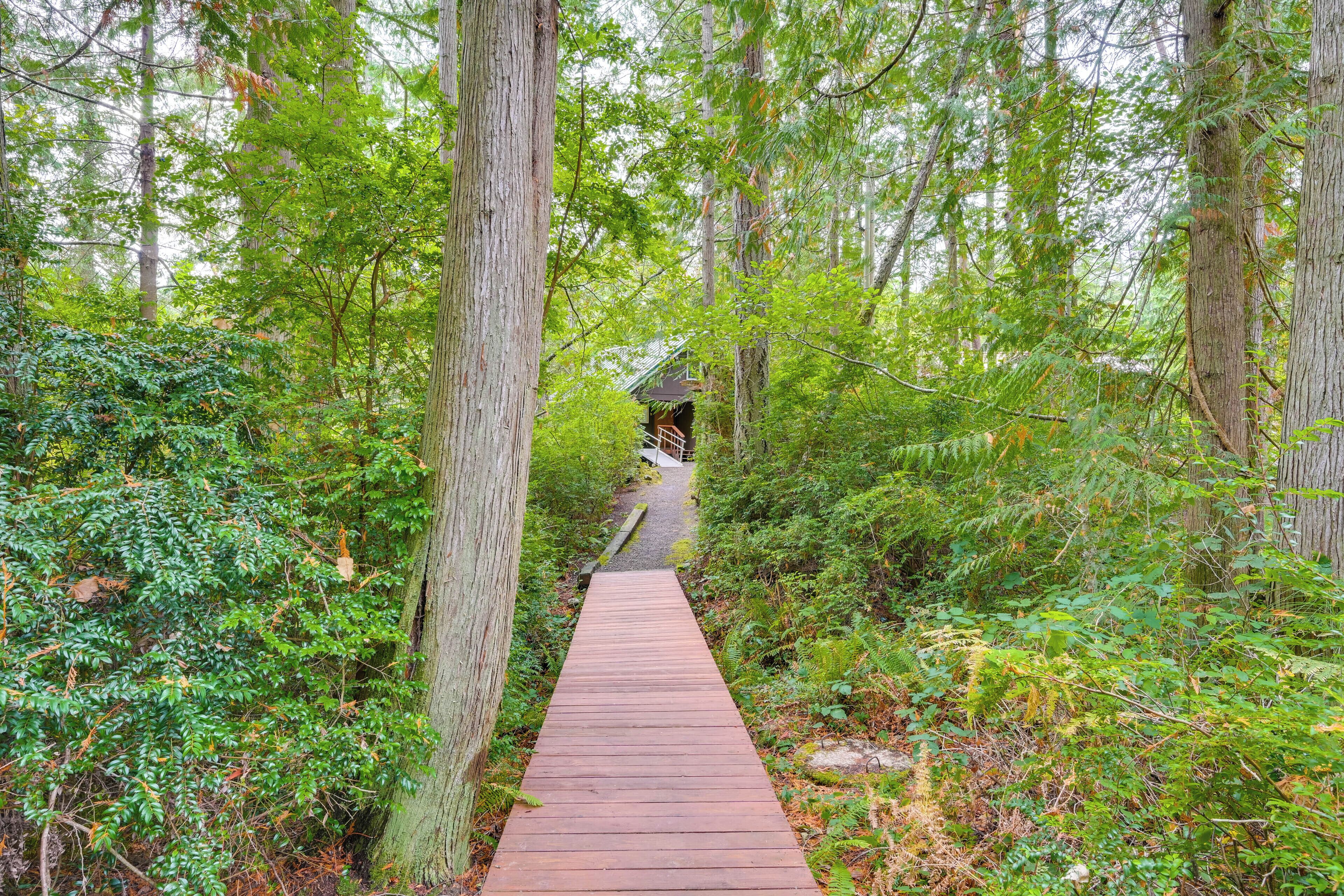 Un muelle de madera serpentea por un bosque frondoso, guiando hacia un pequeño edificio con techo inclinado.