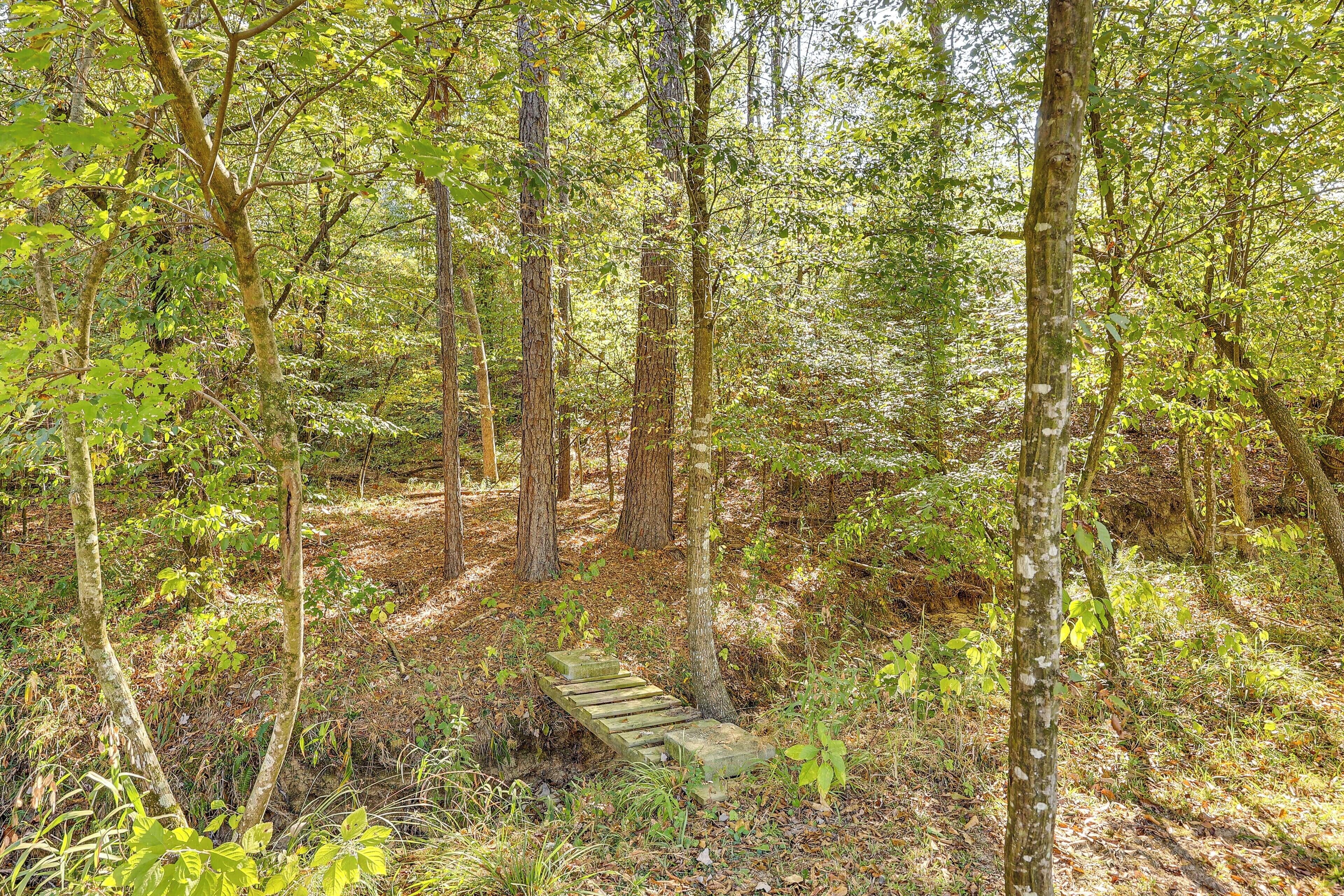 A forested area with a wooden bridge.