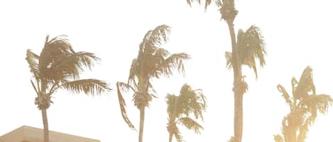 Façana frontal de l'allotjament