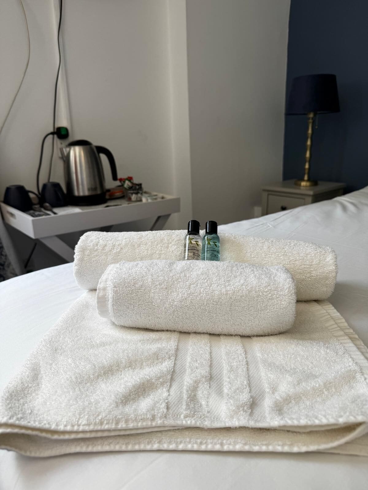 Iron/ironing board, free WiFi