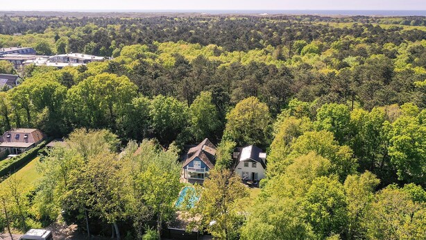 Een woongebied met huizen, omgeven door dicht bos.