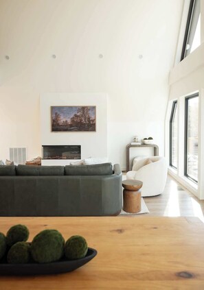 TV, fireplace, video games, books