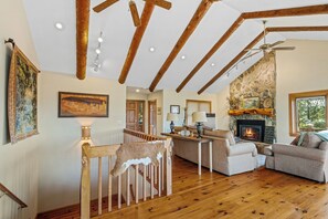 Smart TV, fireplace, books