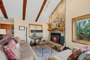 Smart TV, fireplace, books