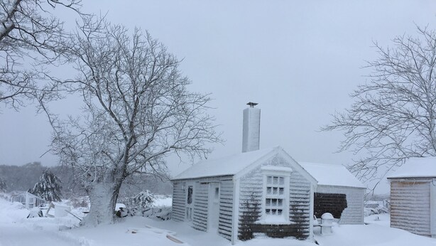 A snow-covered wooden house with a chimney, surrounded by bare trees and a snowy landscape. - Charming cottage on goat farm in picturesque Westport (Westport)