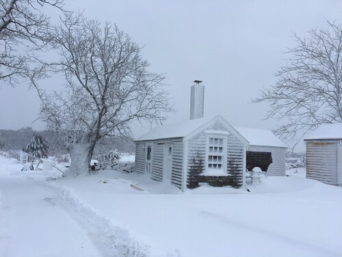 Charming cottage on goat farm in picturesque Westport