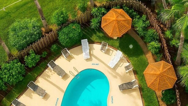 A large oval-shaped pool surrounded by lounge chairs and umbrellas, with a well-maintained garden and a stone wall.