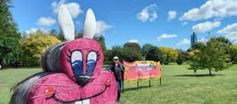 Cosy Sun-filled Cottage