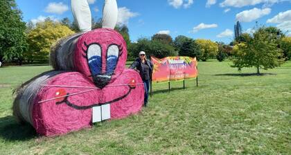 Cosy Sun-filled Cottage