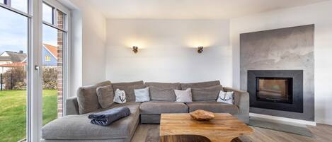 TV, fireplace, video games, DVD player