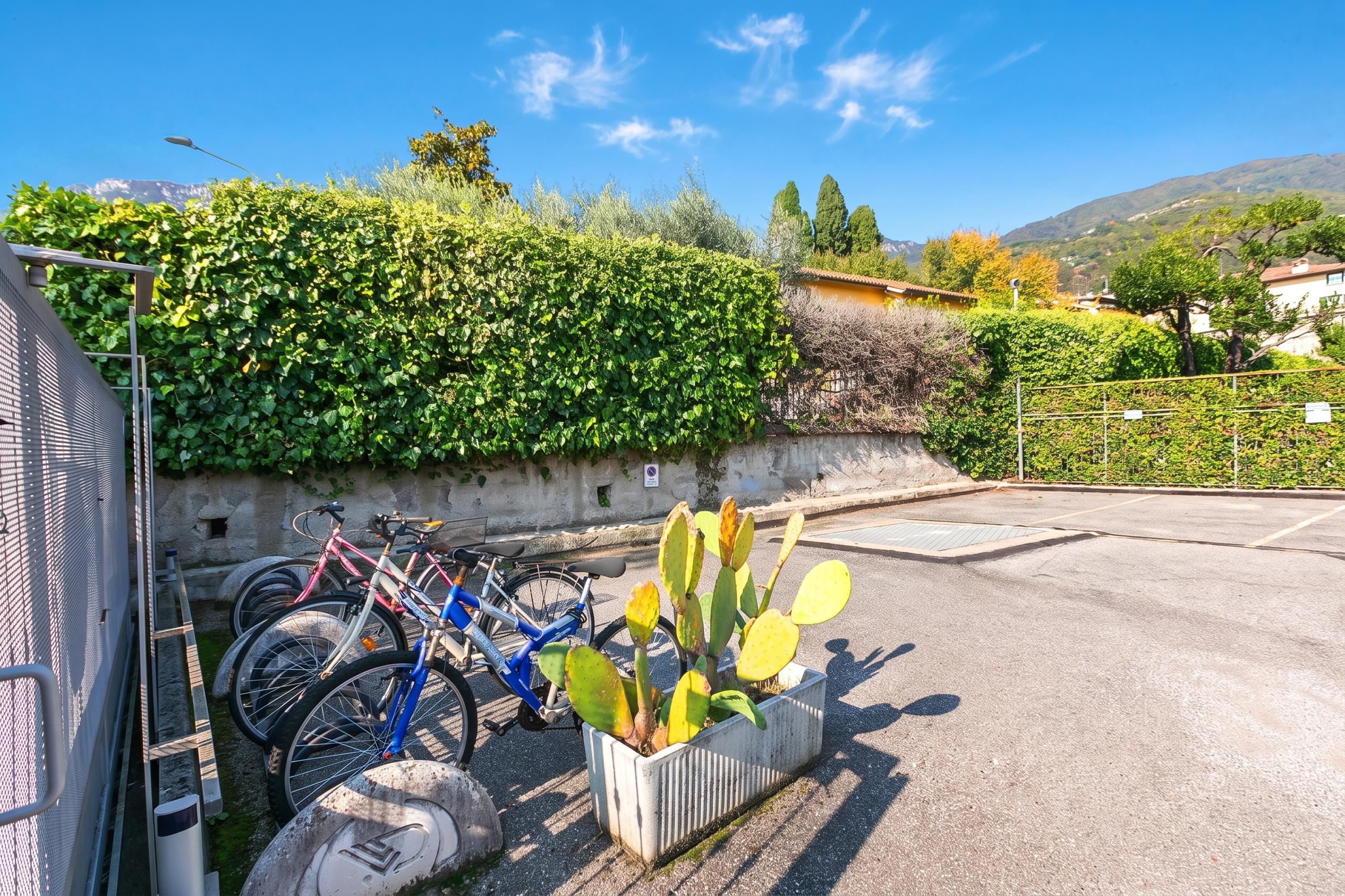 Un estacionamiento con bicicletas, una planta de cactus y cielo despejado.