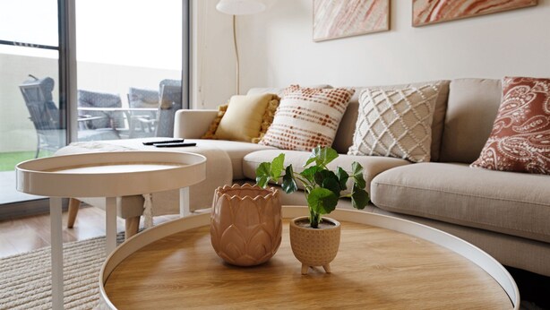 A modern living room with a sofa, a coffee table, and a potted plant. - Ground Level 1-bed: Courtyard & Alfresco Dining (Canberra)