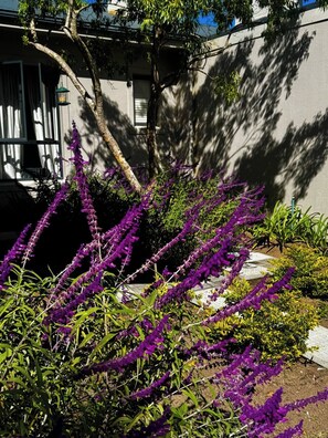 تفاصيل الفندق من الخارج