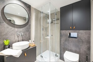 Shower, hair dryer, towels