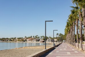 Un paseo marítimo con un camino pavimentado, palmeras y una masa de agua tranquila.