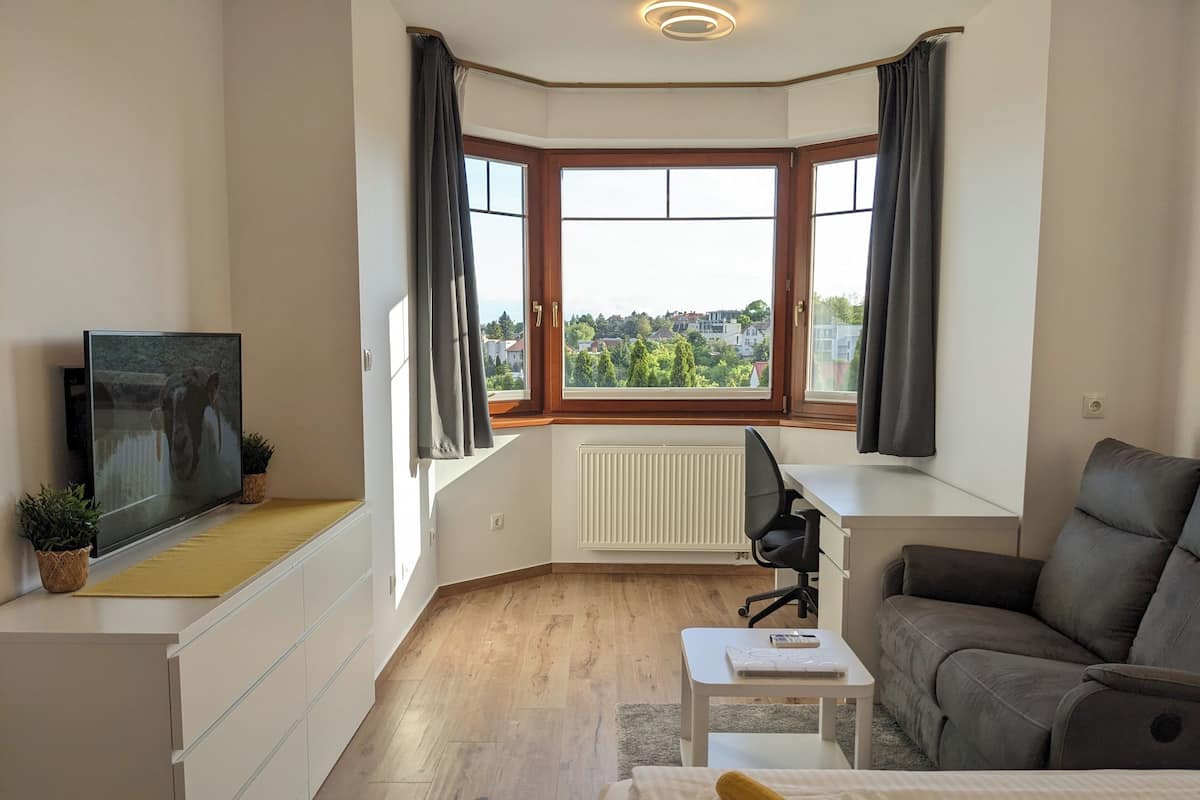 Een moderne hotelkamer met een groot raam, een flatscreen televisie, een bank, een bureau en een bed.