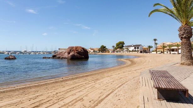 Une plage avec un banc en bois, un palmier et un affleurement rocheux dans l’eau.