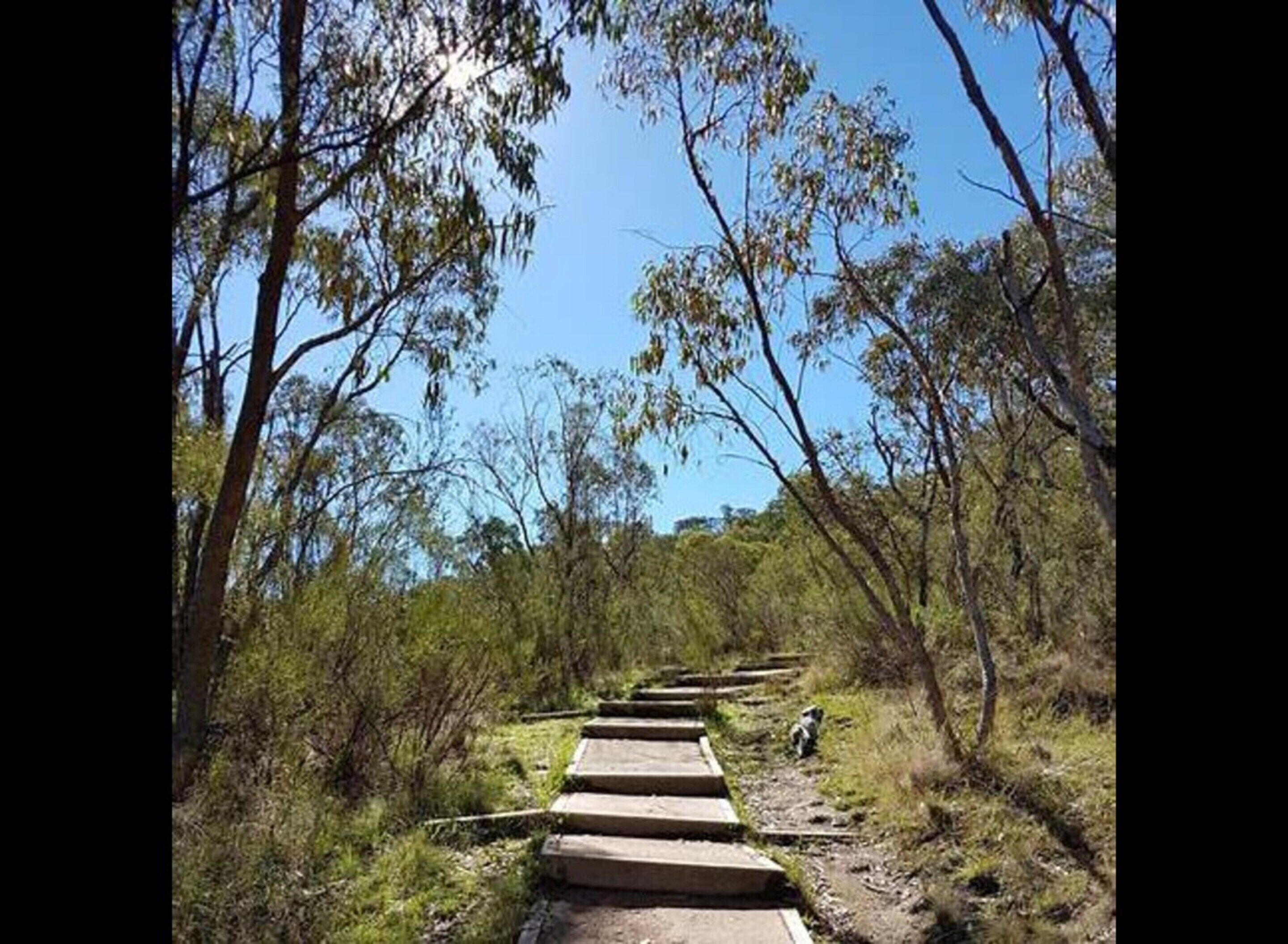 Apartment | Property grounds