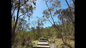 Apartment | Property grounds