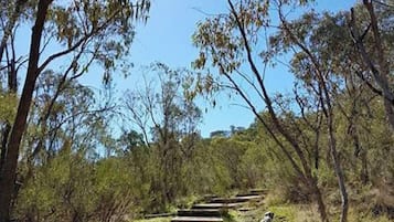 Apartment | Property grounds