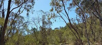 Cosy Kambah 1 Bedroom Near Shops & Parks