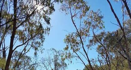 Cosy Kambah 1 Bedroom Near Shops & Parks