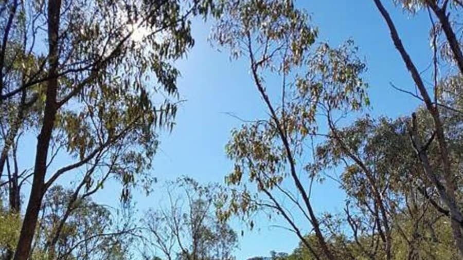 Cosy Kambah 1 Bedroom Near Shops & Parks