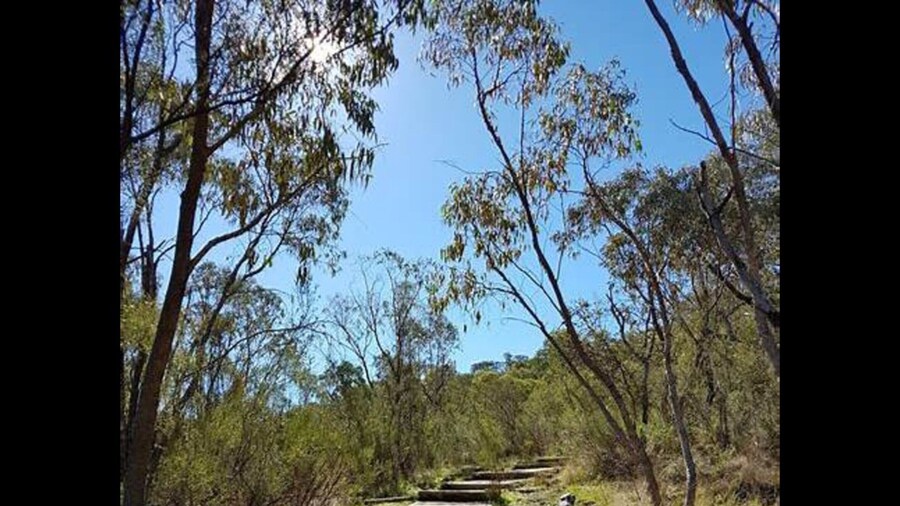 Cosy Kambah 1 Bedroom Near Shops & Parks