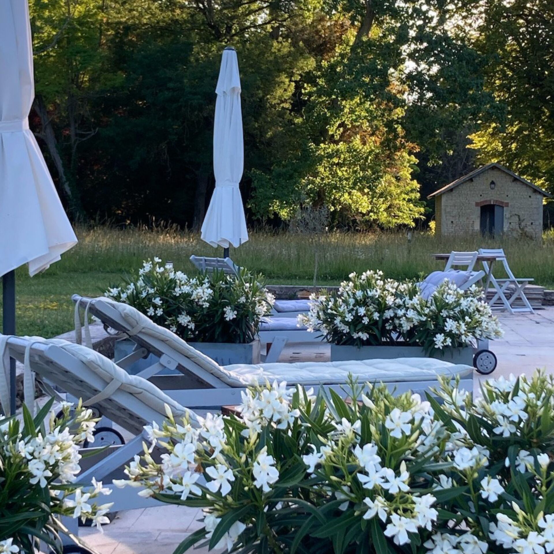 Een seizoensgebonden buitenzwembad en parasols bij het zwembad