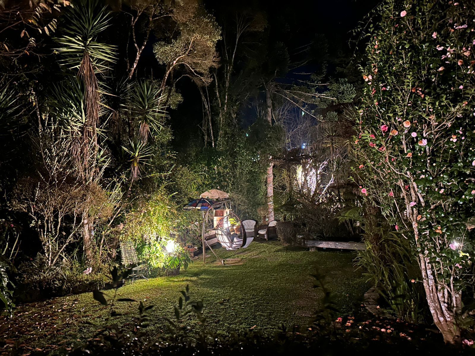 A well-lit garden area with a gazebo, seating, and various plants.