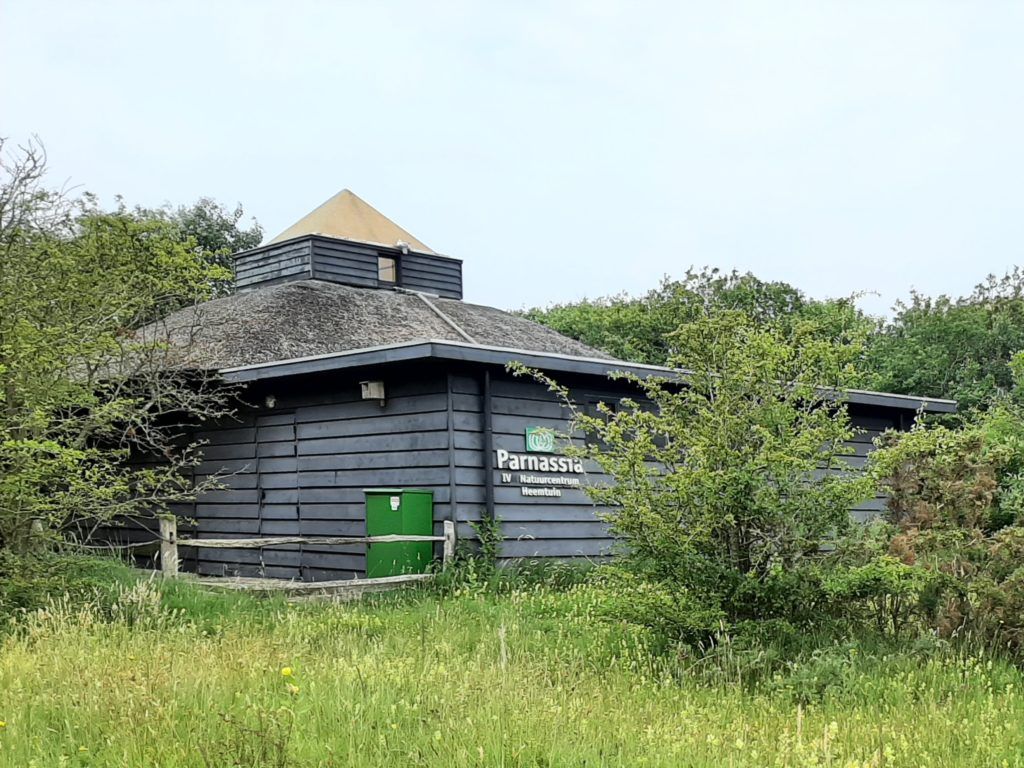 Un chalet rustique en rondins de bois, avec une porte verte, entouré d’une végétation luxuriante.