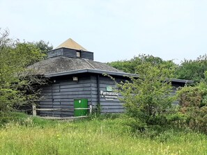Een rustieke houten chalet met een groene deur, omringd door weelderige begroeiing.