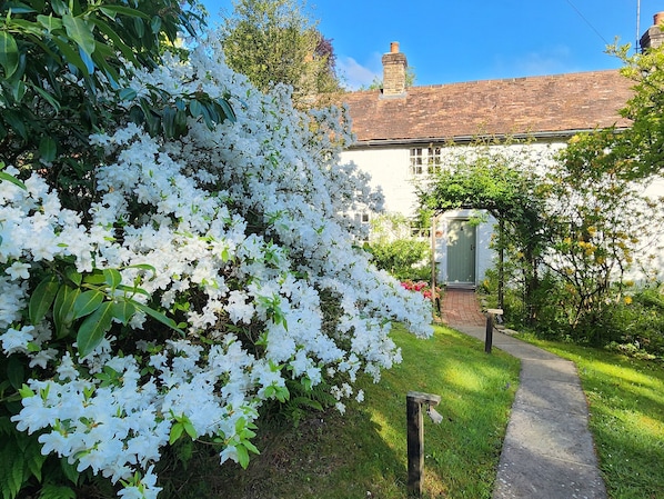 Kır Evi | Konaklama yeri alanı