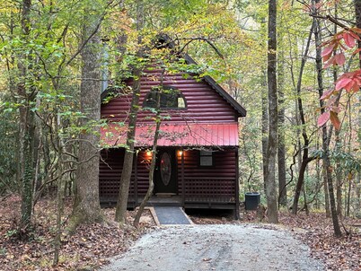 Cozy 2-bedroom cabin within wallking distance to Helen with fireplace